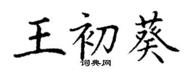 丁謙王初葵楷書個性簽名怎么寫