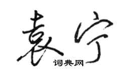 駱恆光袁寧行書個性簽名怎么寫