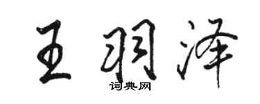 駱恆光王羽澤行書個性簽名怎么寫