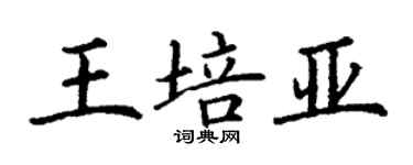 丁謙王培亞楷書個性簽名怎么寫
