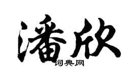 胡問遂潘欣行書個性簽名怎么寫