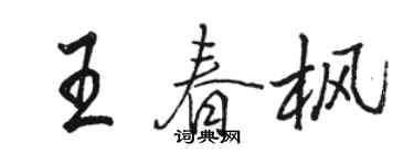 駱恆光王春楓行書個性簽名怎么寫
