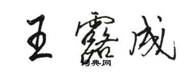 駱恆光王露成行書個性簽名怎么寫