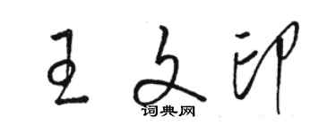 駱恆光王文印草書個性簽名怎么寫