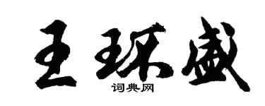 胡問遂王環盛行書個性簽名怎么寫