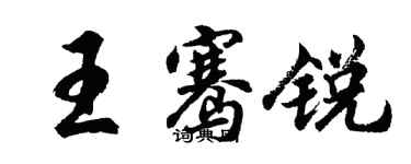 胡問遂王騫銳行書個性簽名怎么寫