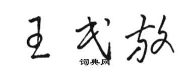駱恆光王民放草書個性簽名怎么寫