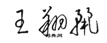 駱恆光王翔麗草書個性簽名怎么寫