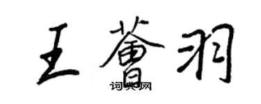 王正良王薈羽行書個性簽名怎么寫