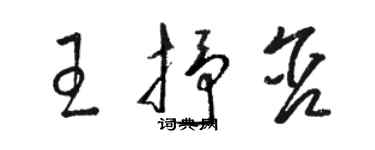 駱恆光王抒含草書個性簽名怎么寫