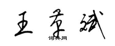 梁錦英王革斌草書個性簽名怎么寫