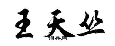 胡問遂王天叢行書個性簽名怎么寫