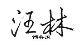 駱恆光汪林行書個性簽名怎么寫