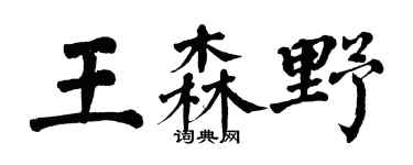 翁闓運王森野楷書個性簽名怎么寫