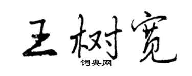 曾慶福王樹寬行書個性簽名怎么寫