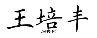 丁謙王培豐楷書個性簽名怎么寫