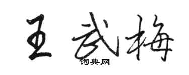 駱恆光王武梅行書個性簽名怎么寫