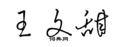 駱恆光王文甜草書個性簽名怎么寫