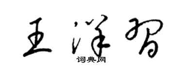 梁錦英王洋習草書個性簽名怎么寫