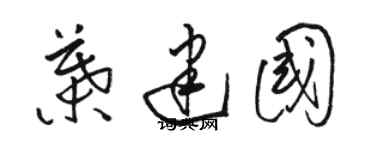 駱恆光葉建國草書個性簽名怎么寫