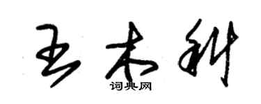 朱錫榮王木科草書個性簽名怎么寫
