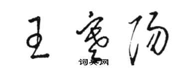 駱恆光王寒陽草書個性簽名怎么寫