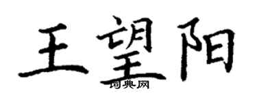 丁謙王望陽楷書個性簽名怎么寫