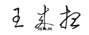 駱恆光王來想草書個性簽名怎么寫