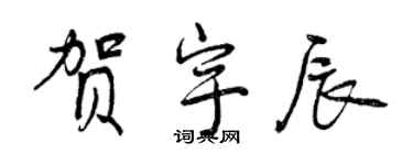 曾慶福賀宇辰行書個性簽名怎么寫