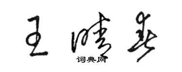 駱恆光王晴春草書個性簽名怎么寫