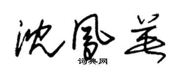 朱錫榮沈鳳英草書個性簽名怎么寫