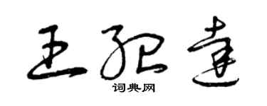 曾慶福王紀達草書個性簽名怎么寫