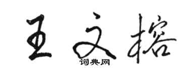 駱恆光王文榕行書個性簽名怎么寫