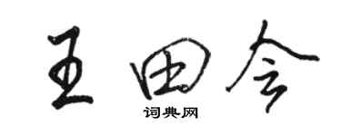 駱恆光王田會行書個性簽名怎么寫