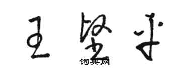 駱恆光王堅平草書個性簽名怎么寫