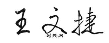 駱恆光王文捷行書個性簽名怎么寫