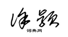 朱錫榮徐穎草書個性簽名怎么寫