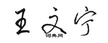 駱恆光王文寧行書個性簽名怎么寫