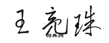 駱恆光王亮珠草書個性簽名怎么寫