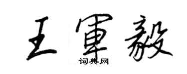 王正良王軍毅行書個性簽名怎么寫