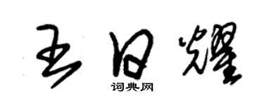 朱錫榮王日耀草書個性簽名怎么寫