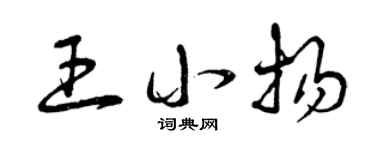 曾慶福王小揚草書個性簽名怎么寫