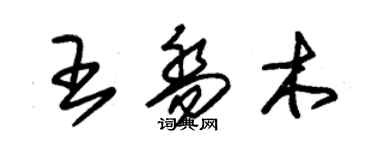 朱錫榮王喬木草書個性簽名怎么寫