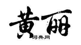 胡問遂黃麗行書個性簽名怎么寫