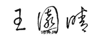 駱恆光王園晴草書個性簽名怎么寫