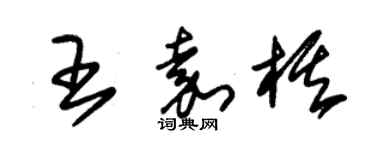 朱錫榮王嘉棋草書個性簽名怎么寫
