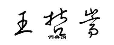 梁錦英王哲嵩草書個性簽名怎么寫