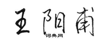 駱恆光王陽甫行書個性簽名怎么寫