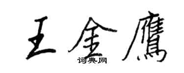 王正良王金鷹行書個性簽名怎么寫