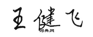 駱恆光王健飛行書個性簽名怎么寫